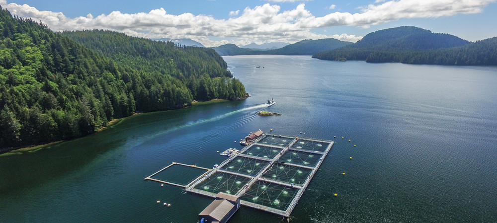 New technologies in salmon aquaculture