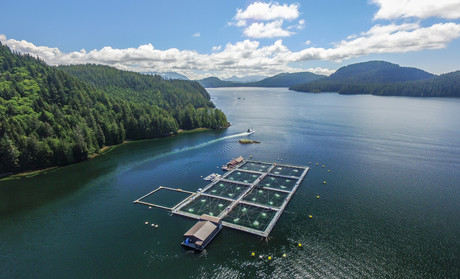 New technologies in salmon aquaculture