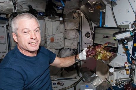 Lettuce in space Lettuce in space