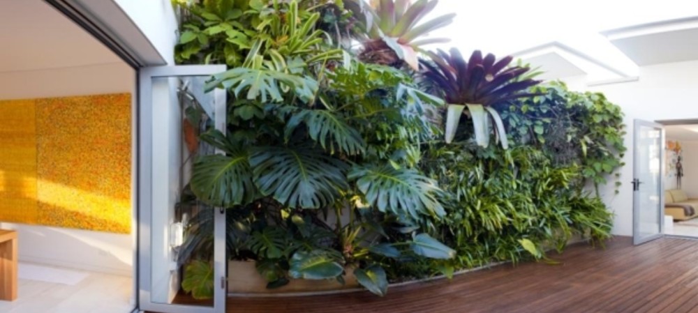 A soil-less solution for coffee waste