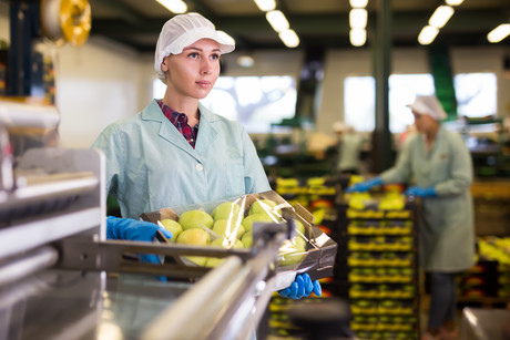 Are your young workers safe?