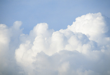 RFT for Cloud Marketplace 2.0 put on hold RFT for Cloud Marketplace 2.0 put on hold