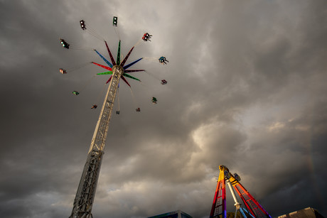 Dreamworld: inquiry lessons and WHS reform