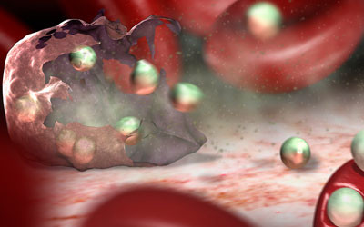 Diagnostic test tracks the spread of infectious diseases