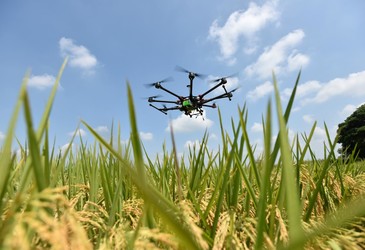 Technologies that could transform our food systems Technologies that could transform our food systems