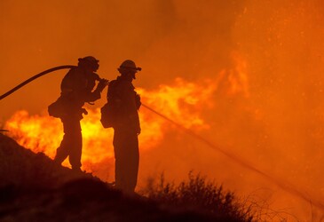 Cloud services to rescue in state of emergency Cloud services to rescue in state of emergency