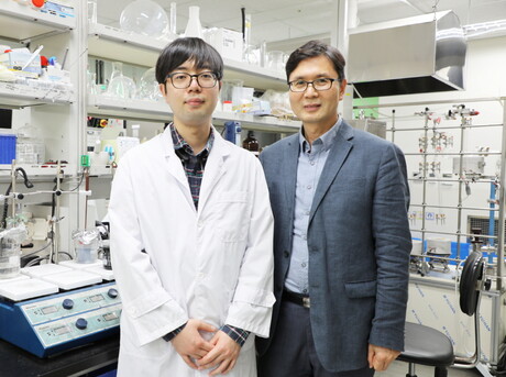 Silica cathode enables long-lasting lithium&ndash;sulfur batteries