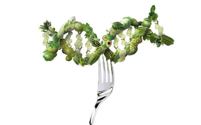 DNA barcodes to track food provenance