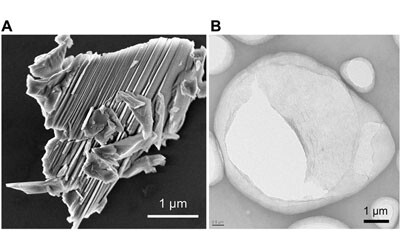 Carbon dioxide capture and water filtration enabled by MOFs