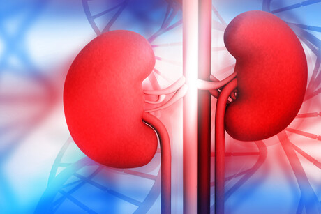 New liquid biopsy method detects early kidney cancer New liquid biopsy method detects early kidney cancer