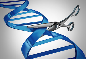 Gene editing on demand: fast, precise and activated by light Gene editing on demand: fast, precise and activated by light