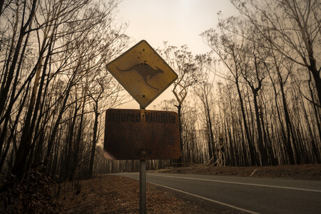 Bushfires present water contamination risk Bushfires present water contamination risk