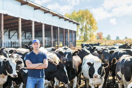 ACCC to enforce dairy code compliance
