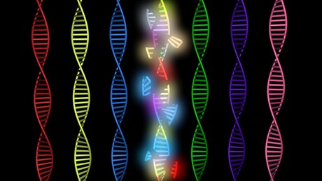 CRISPR gene editing with higher fidelity CRISPR gene editing with higher fidelity