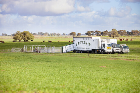 Victoria green lights &#39;abattoir on wheels&#39;