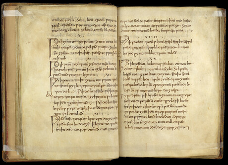 Medieval medicine for modern-day infections Medieval medicine for modern-day infections