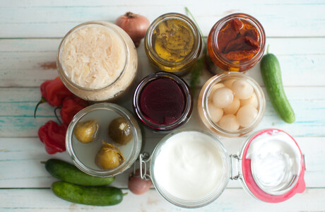 Which bacteria qualify as probiotics? Which bacteria qualify as probiotics?
