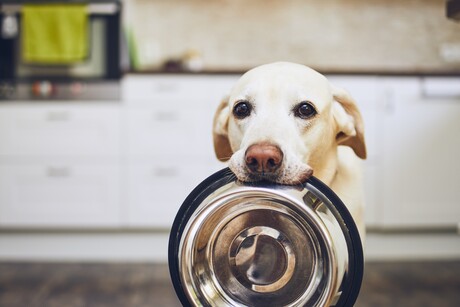 Getting a grip on pet food pouches