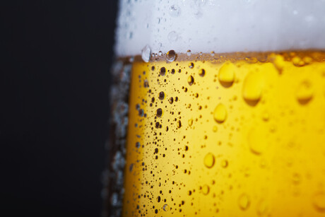 Wild yeast, algae and the science of beer and wine Wild yeast, algae and the science of beer and wine