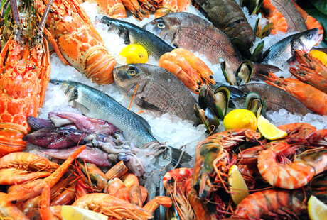 Seafood supplier achieves oceans of savings with freezer tech