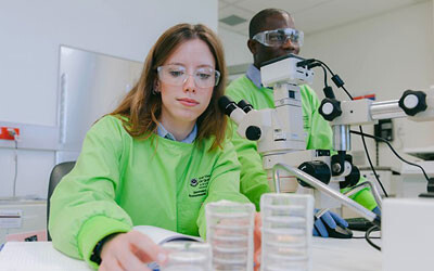 There&#39;s plastic in your prawns, UQ research reveals