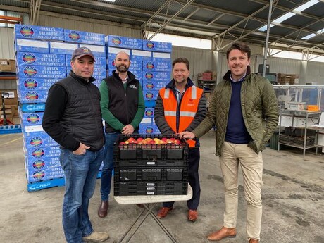 New system to trace Australia&#39;s horticultural exports to China