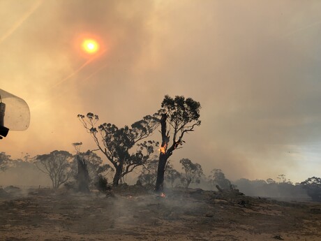 CSIRO helps establish new disaster research centre CSIRO helps establish new disaster research centre