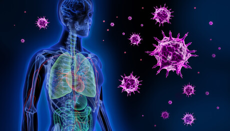 Immune cells &#39;exhausted&#39; by severe viral infection