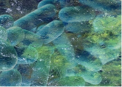 Pure oxygen can reduce risks of <em>Legionella</em> generation from water treatment plants by 90% Pure oxygen can reduce risks of <em>Legionella</em> generation from water treatment plants by 90%