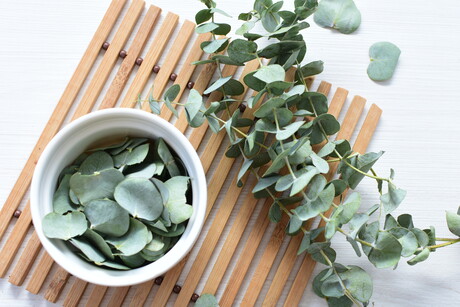 Indigenous wine: fermentation research