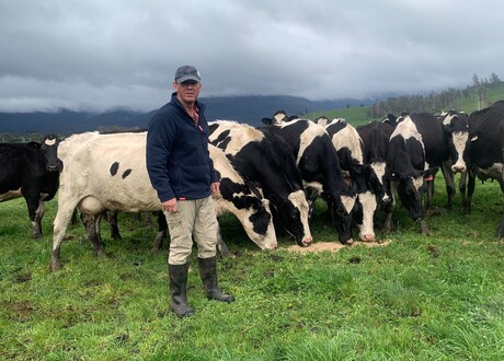 Tas dairy farmer uses DNA testing for herd management