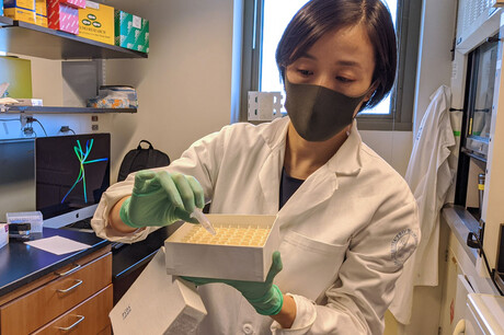 The missing link behind severe cases of COVID-19?