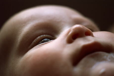 Babies&#39; brain activity used to predict autism diagnosis
