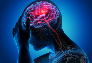 How does diet influence stroke risk? How does diet influence stroke risk?