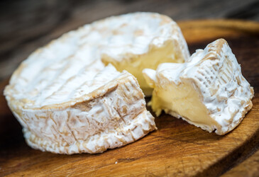 <em>Penicillium camemberti</em>: a history of domestication on cheese <em>Penicillium camemberti</em>: a history of domestication on cheese 