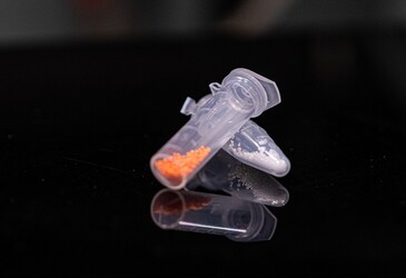 Single daily pill for Parkinson's disease developed Single daily pill for Parkinson's disease developed