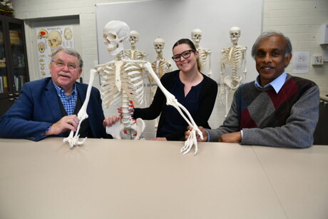 Humans are still evolving, forearm artery research reveals