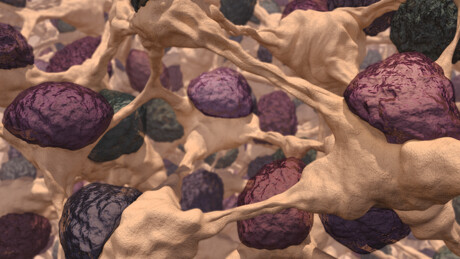 Flexible targets result in more finely tuned antibodies