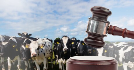 Milk processor pays penalty for breach of Dairy Code