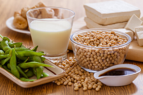Bacterial metabolism of soy may lower dementia risk Bacterial metabolism of soy may lower dementia risk
