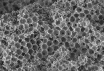 The ultra-efficient catalyst that makes simple work of waste to biodiesel The ultra-efficient catalyst that makes simple work of waste to biodiesel