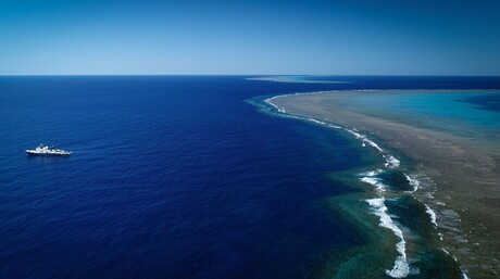500 m-tall coral reef discovered in Great Barrier Reef