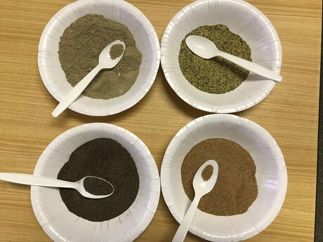 Native grains show future food potential Native grains show future food potential