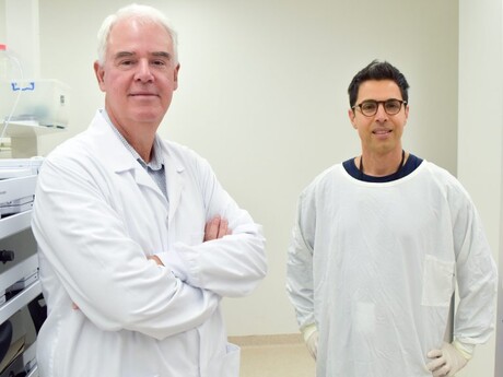 New understanding of how proteins operate in the body