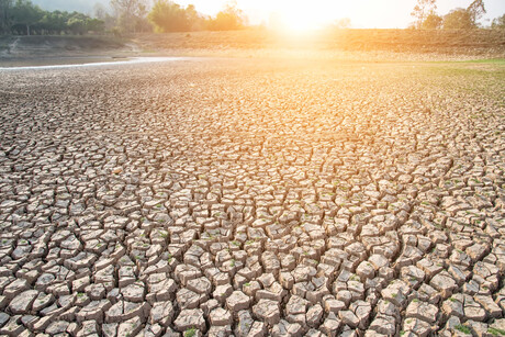 Continued warming and wild weather: State of the Climate 2020