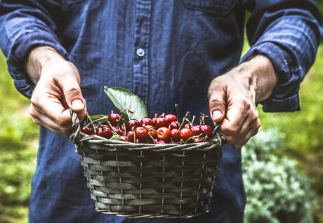 Push for 'ag visa' to ease work shortages Push for 'ag visa' to ease work shortages