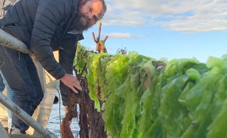 CSIRO awarded million-dollar Food Planet Prize CSIRO awarded million-dollar Food Planet Prize