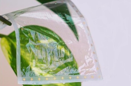 Transparent sensors are flexible and ultrathin Transparent sensors are flexible and ultrathin
