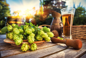 Solventless process to assess thiols in beers Solventless process to assess thiols in beers