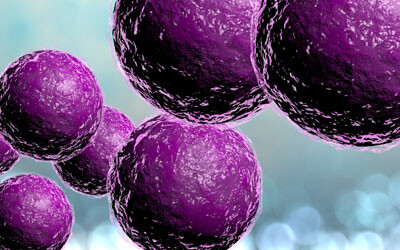 Two-pronged approach to combat antibiotic resistance